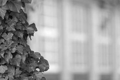 Bild: Seitenfenster_Schloss-Wolfenbuettel