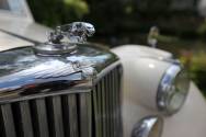 Jaguar_35mm-f3.2.jpg_ALT