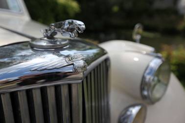 Bild: Jaguar_35mm-f3.2