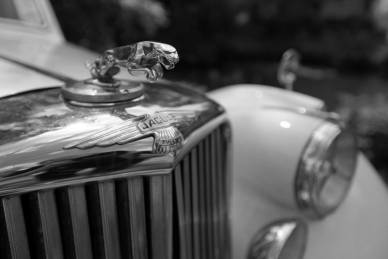 Bild: Jaguar_35mm-f3.2