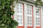 Seitenfenster-Schlosss-Wolfenbuettel_135mm-f5.6_ALT