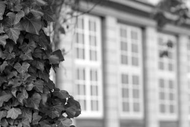 Bild: Seitenfenster-Schlosss-Wolfenbuettel_135mm-f5.6